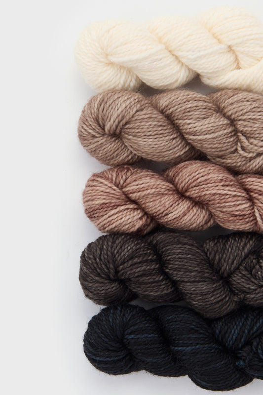 Merino Mini Skein Bundle
