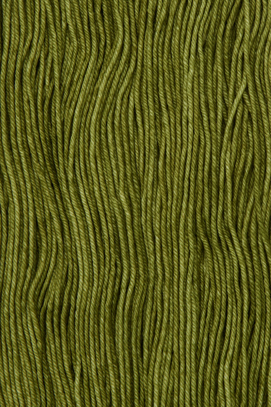 Yarn Skein - Basil