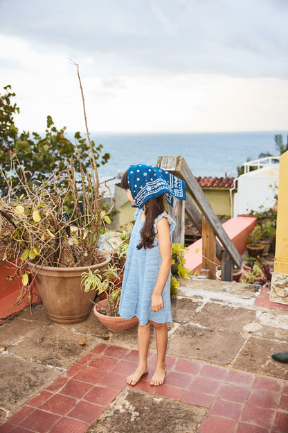 Isadora Swing Dress