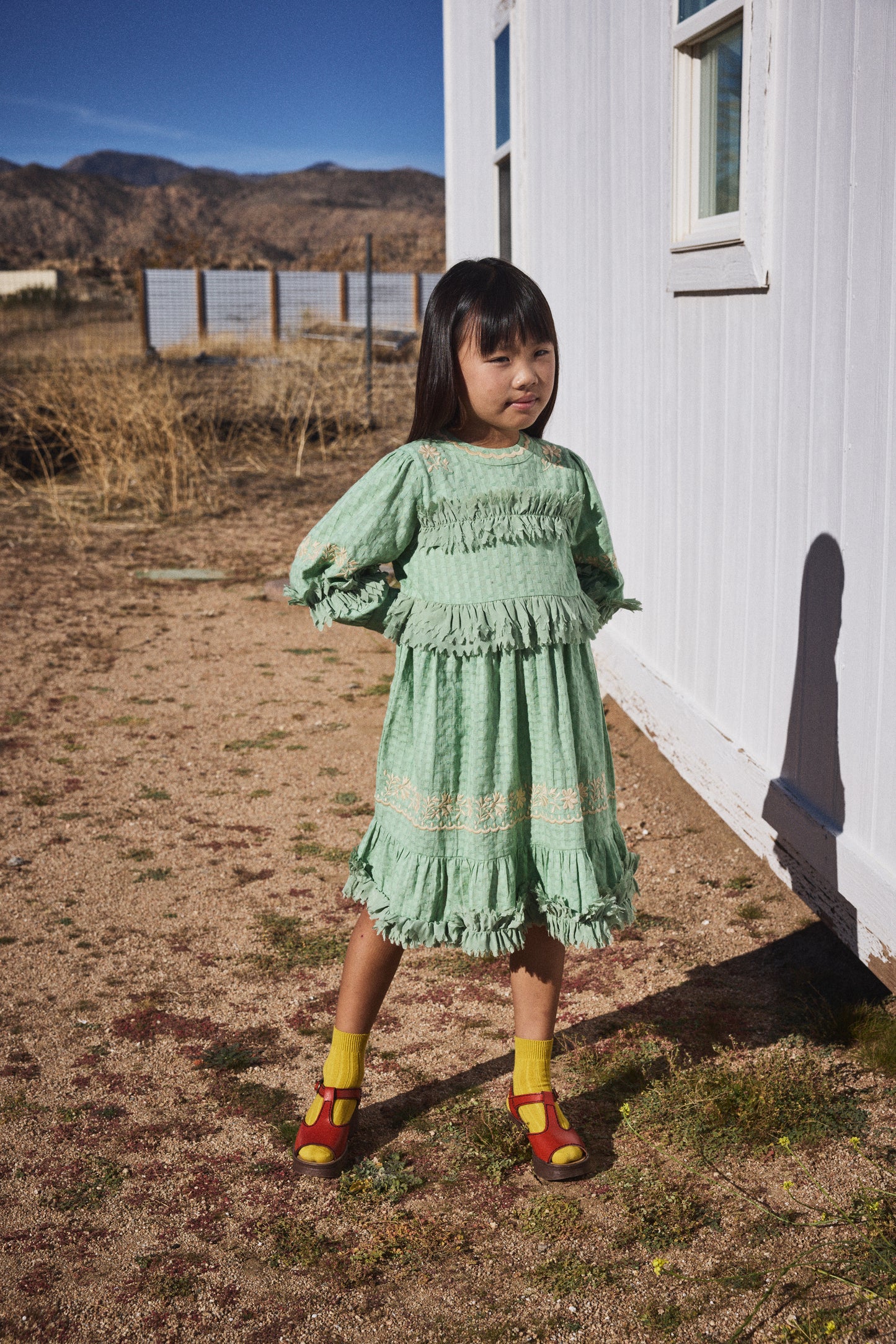 Sonia Ruffle Dress