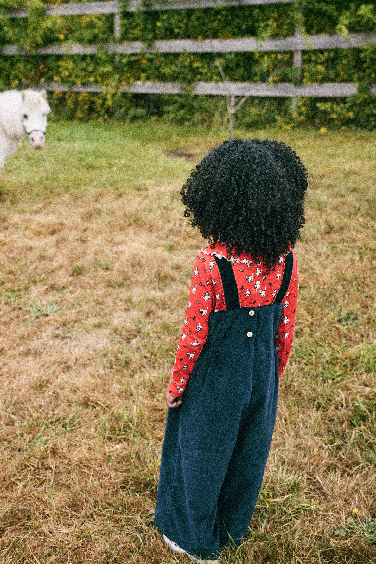 Velvet Agnes Jumpsuit