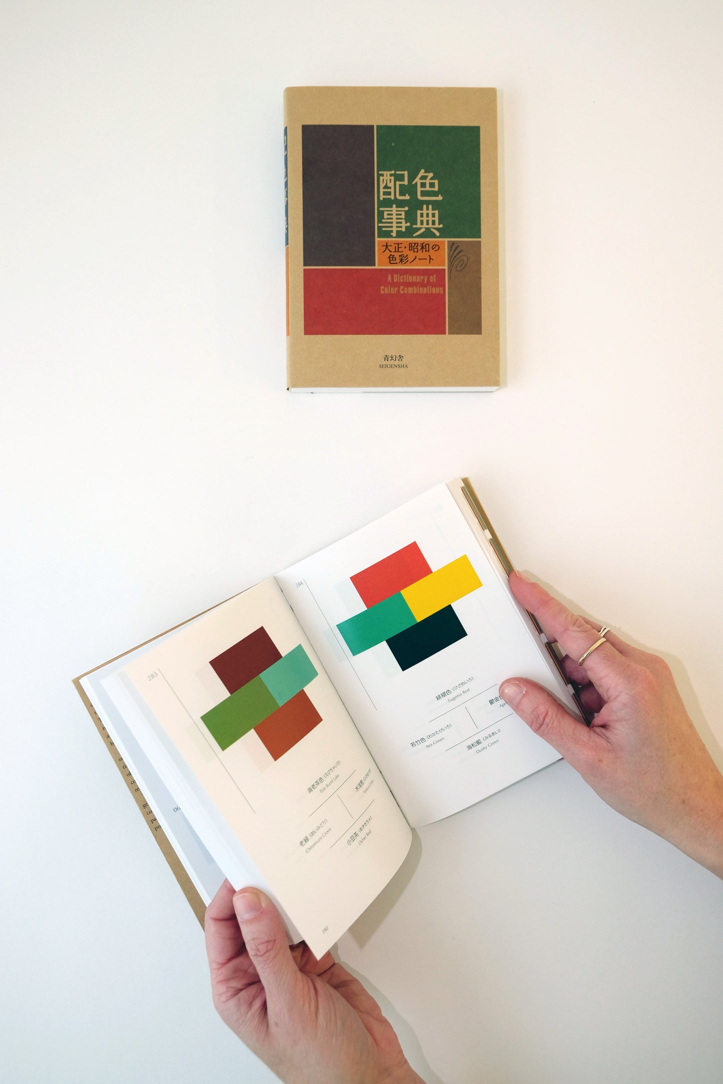 A Dictionary of Color Combinations Vol.1