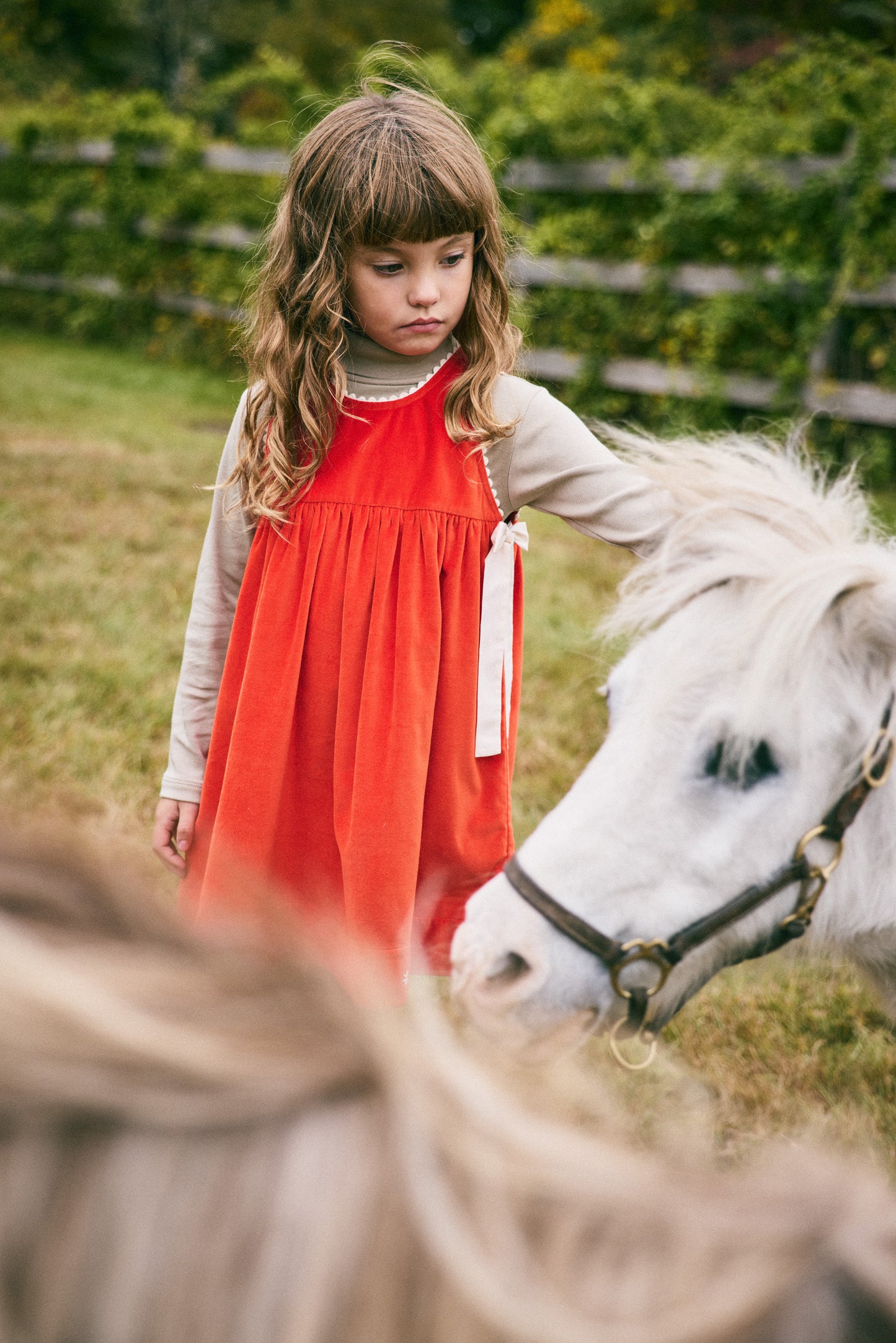 Velvet Esme Dress