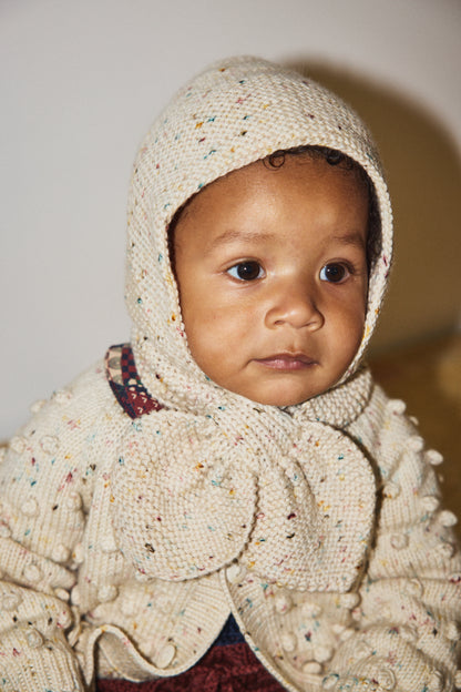 Baby Sledding Hood