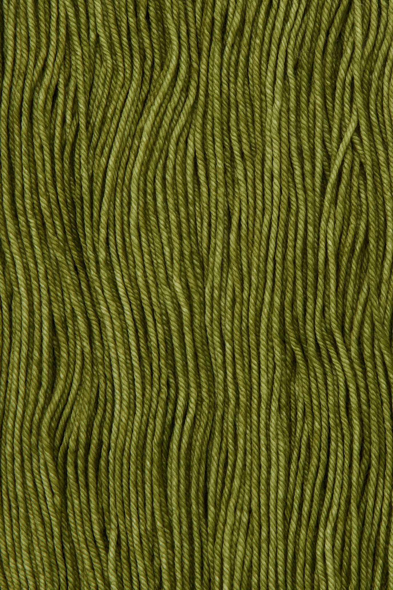 Yarn Skein - Basil