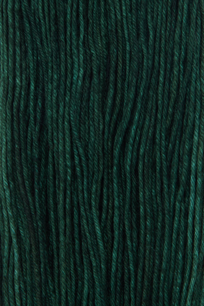 RWS Yarn Skein