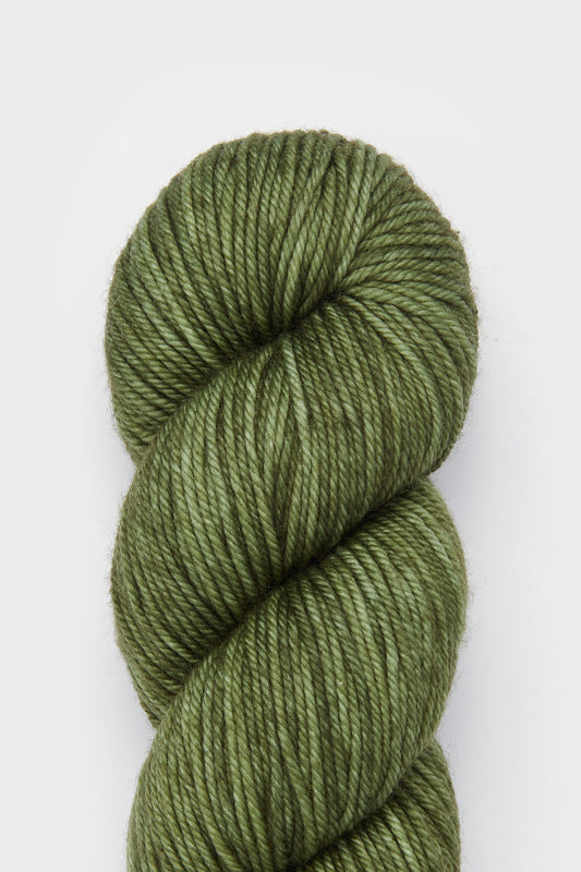 Yarn Skein - Lichen