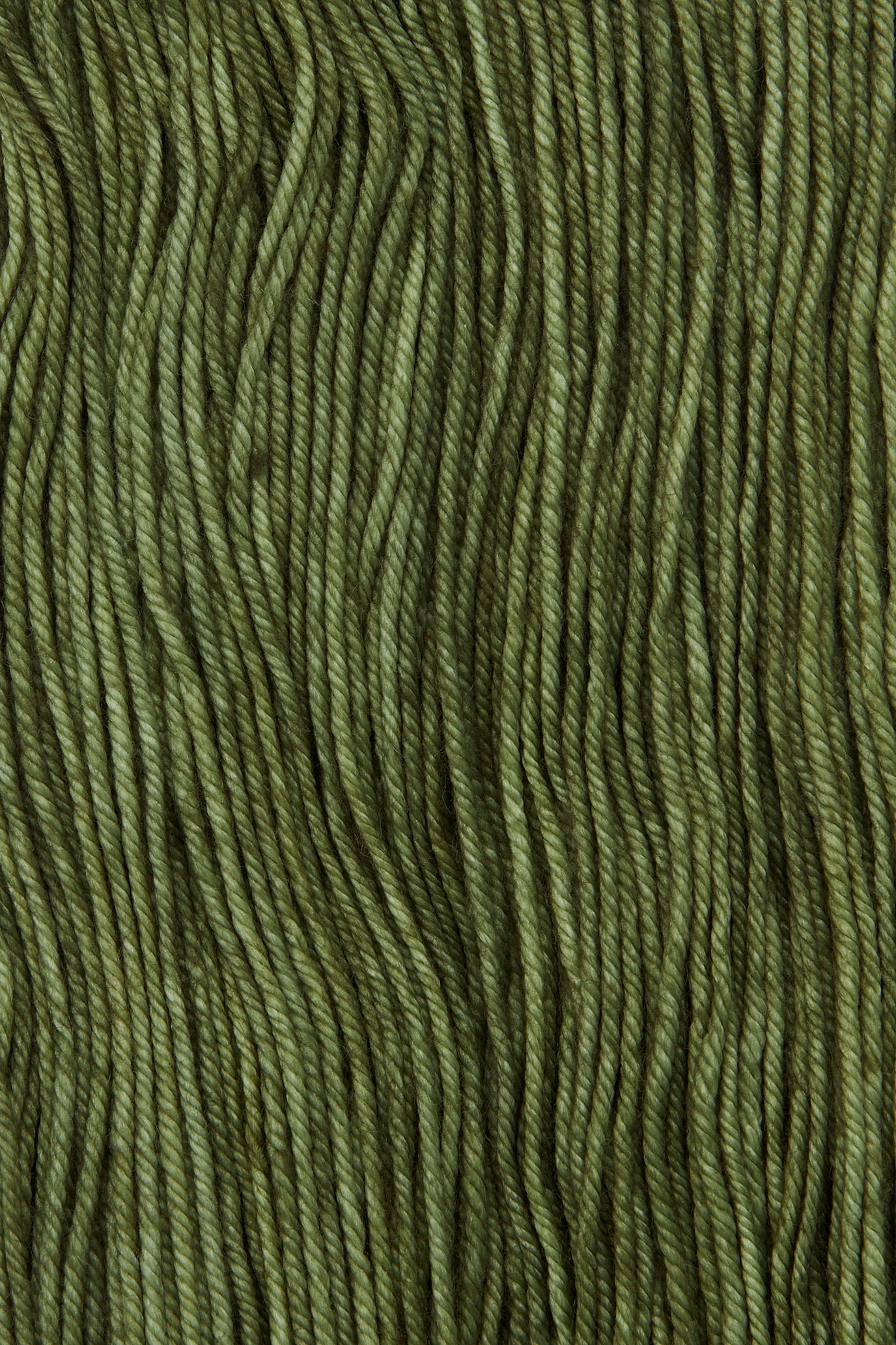 Yarn Skein - Lichen