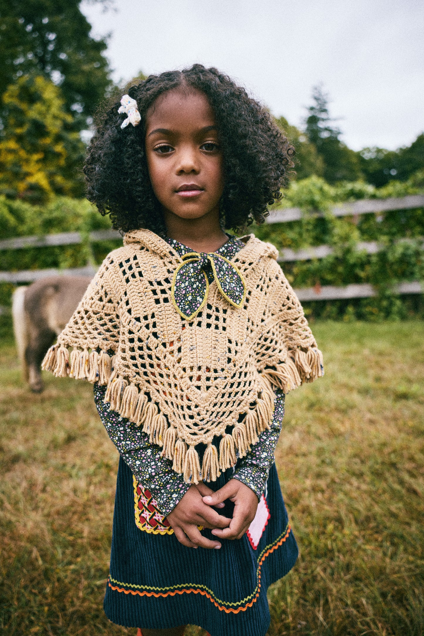 Lattice Crochet Hooded Capelet