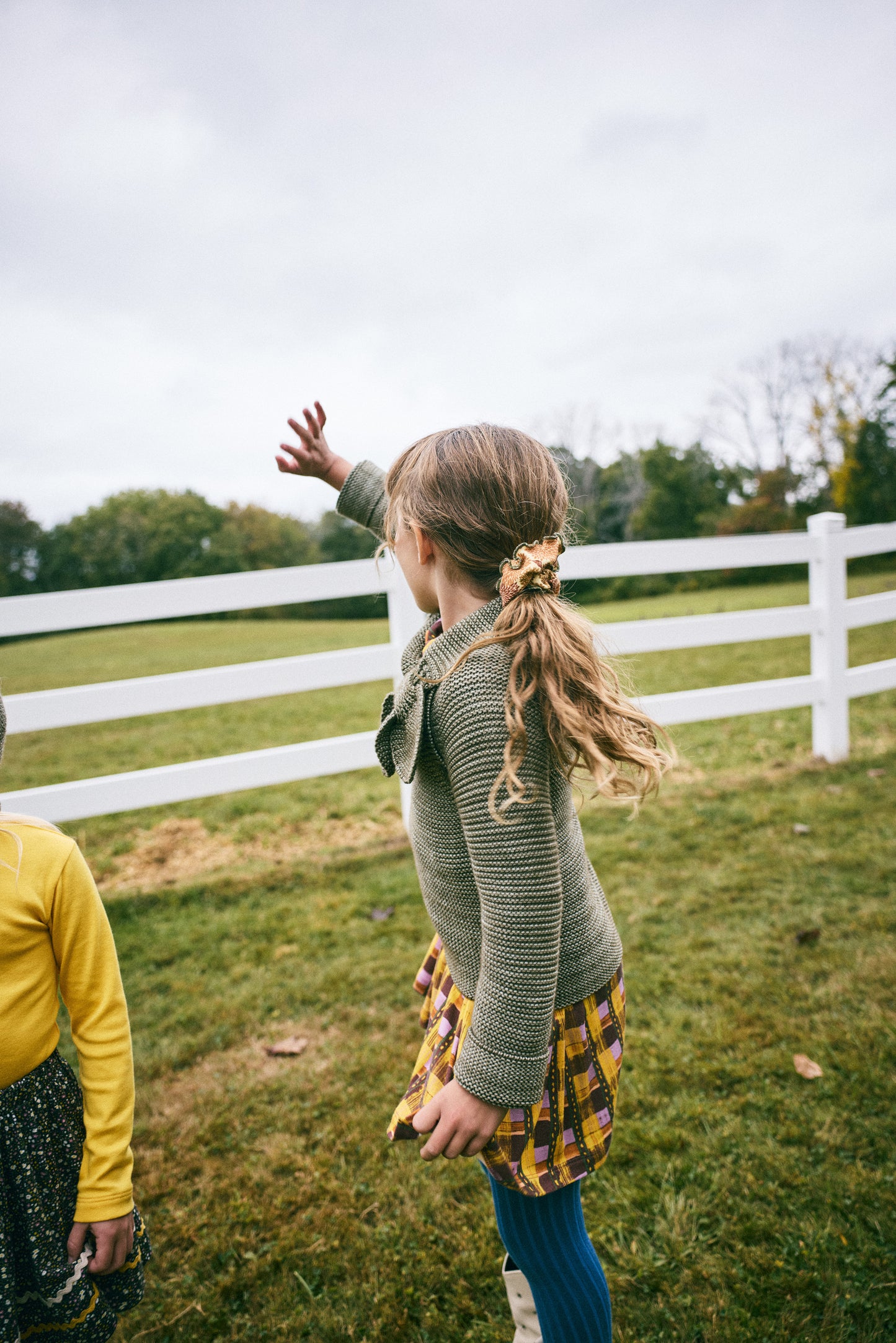 Scout Pullover