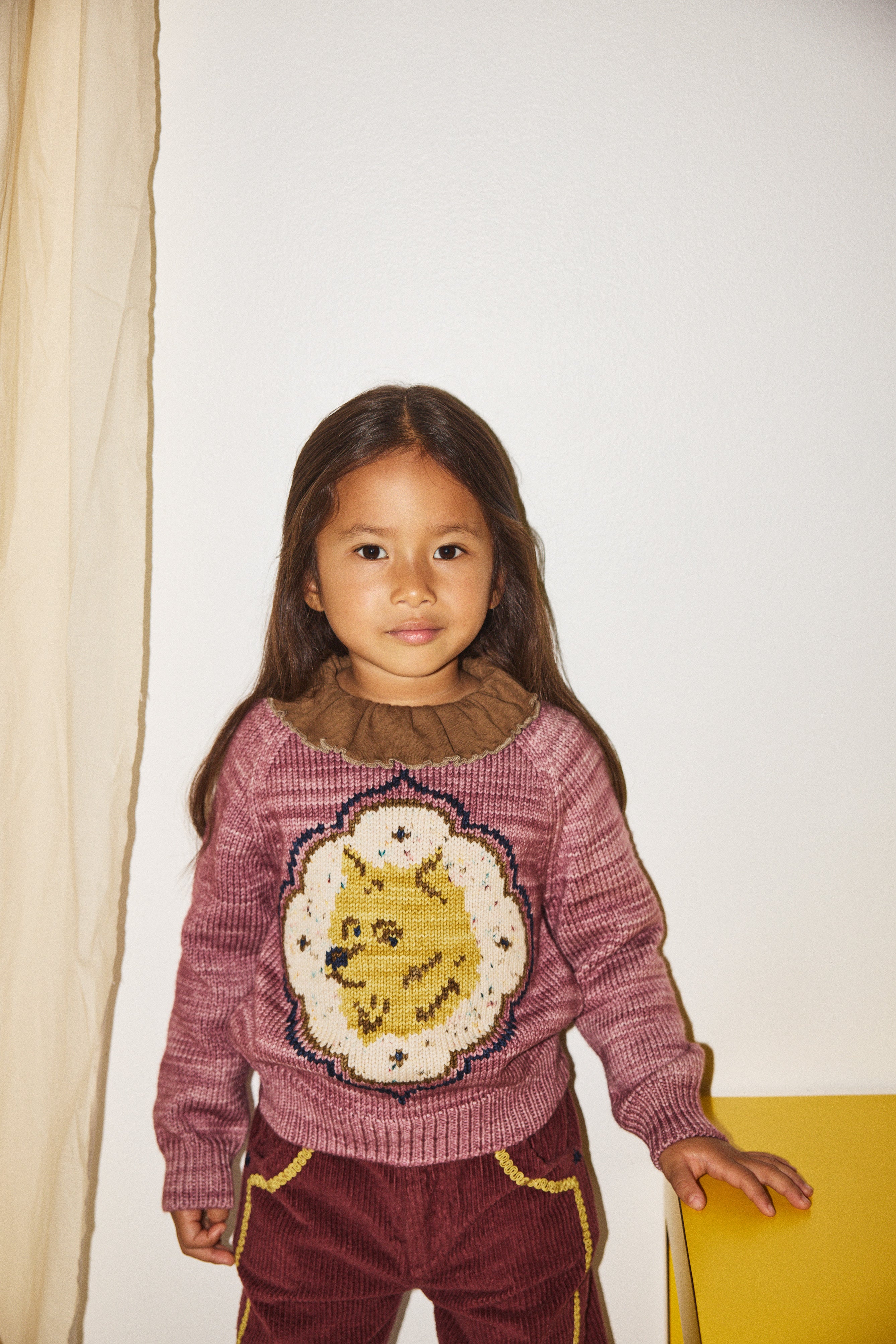 Royal Dog Sweater – Misha & Puff