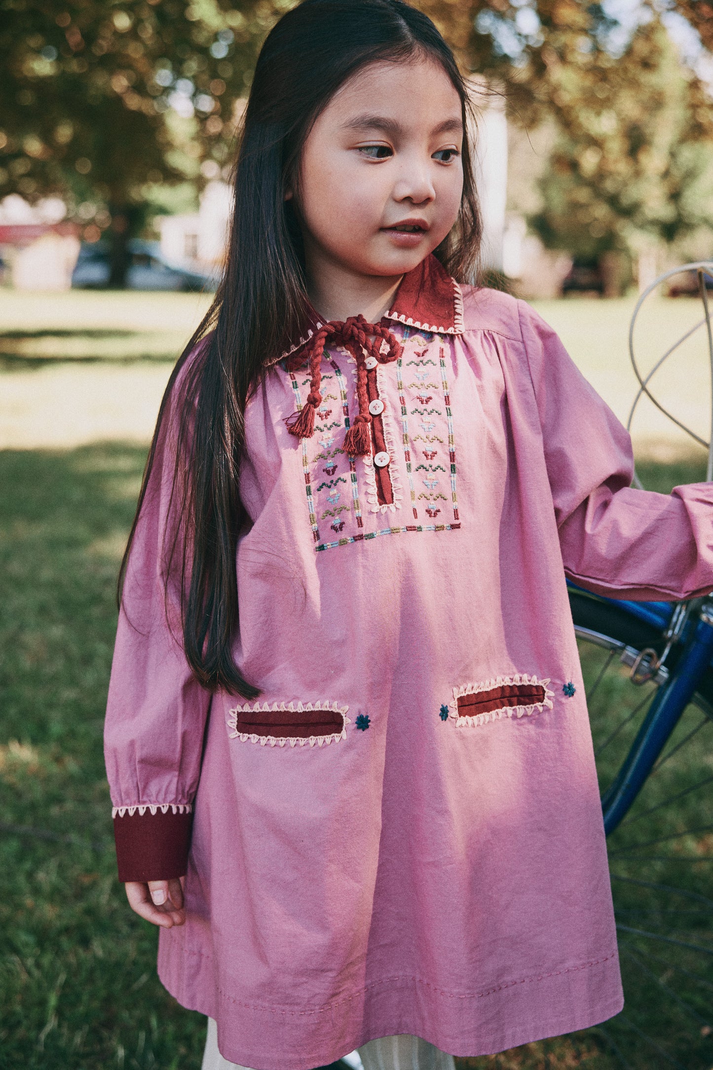 Anita Dress - Antique Rose