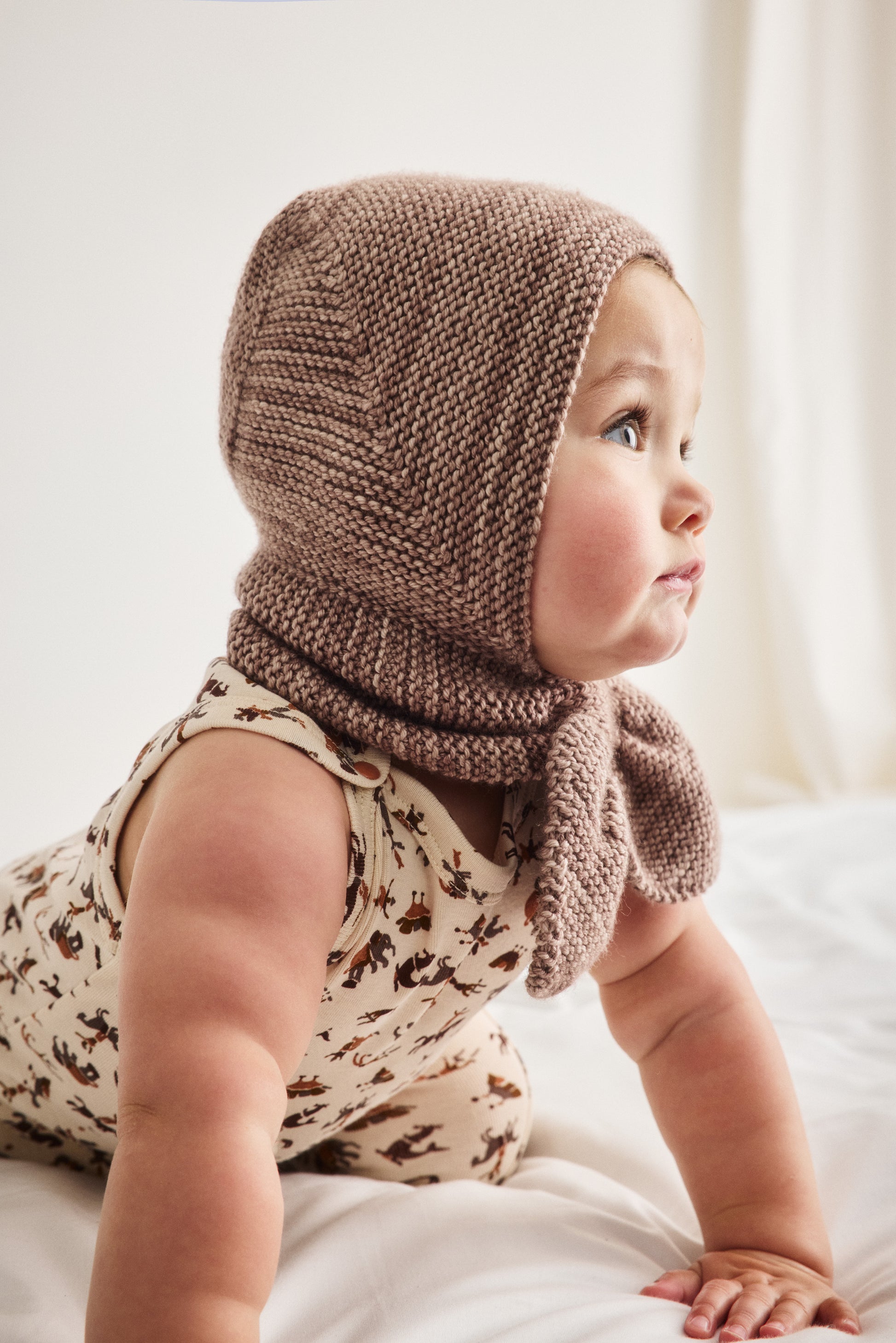 Baby Sledding Hood - Turtledove