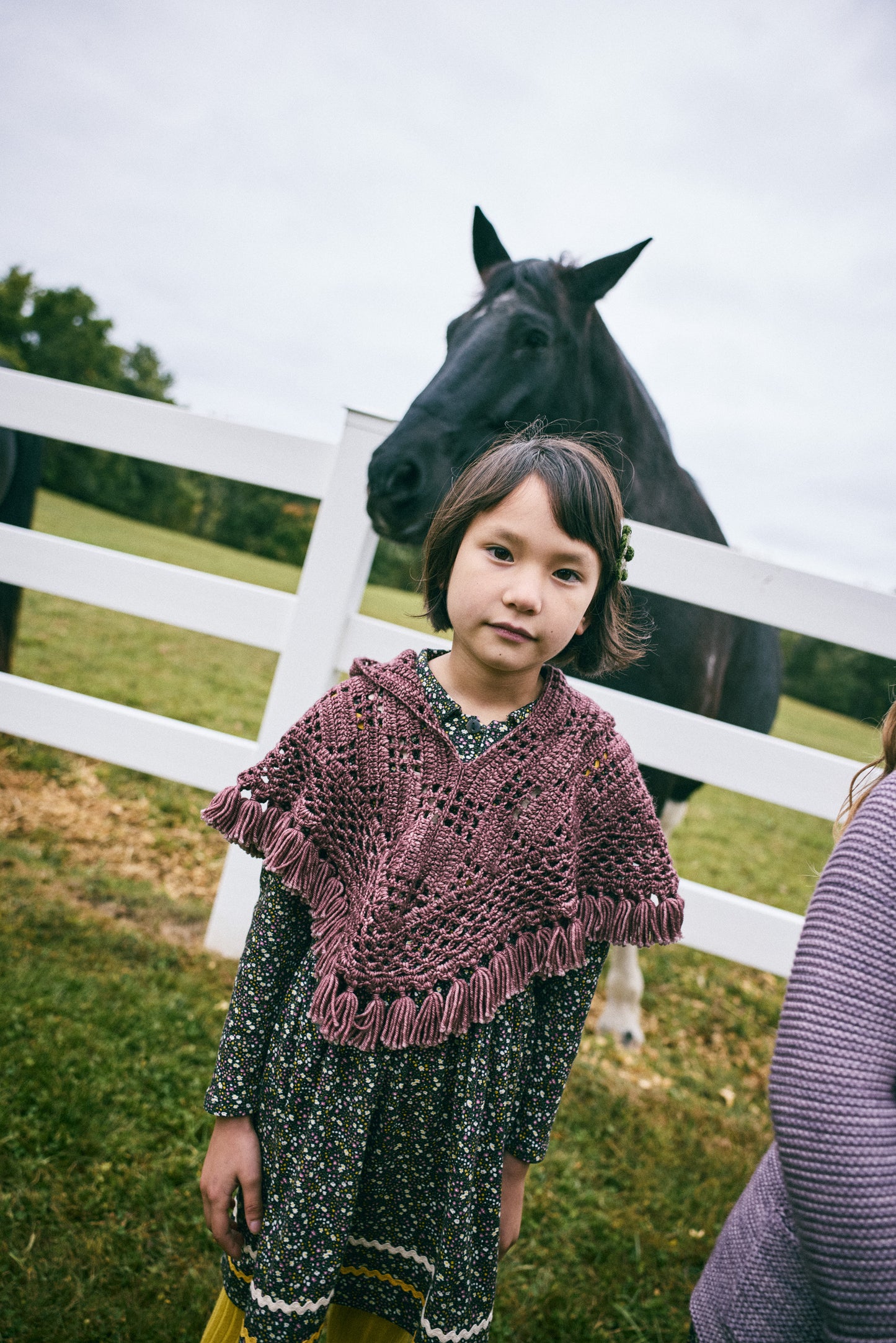 Lattice Crochet Hooded Capelet