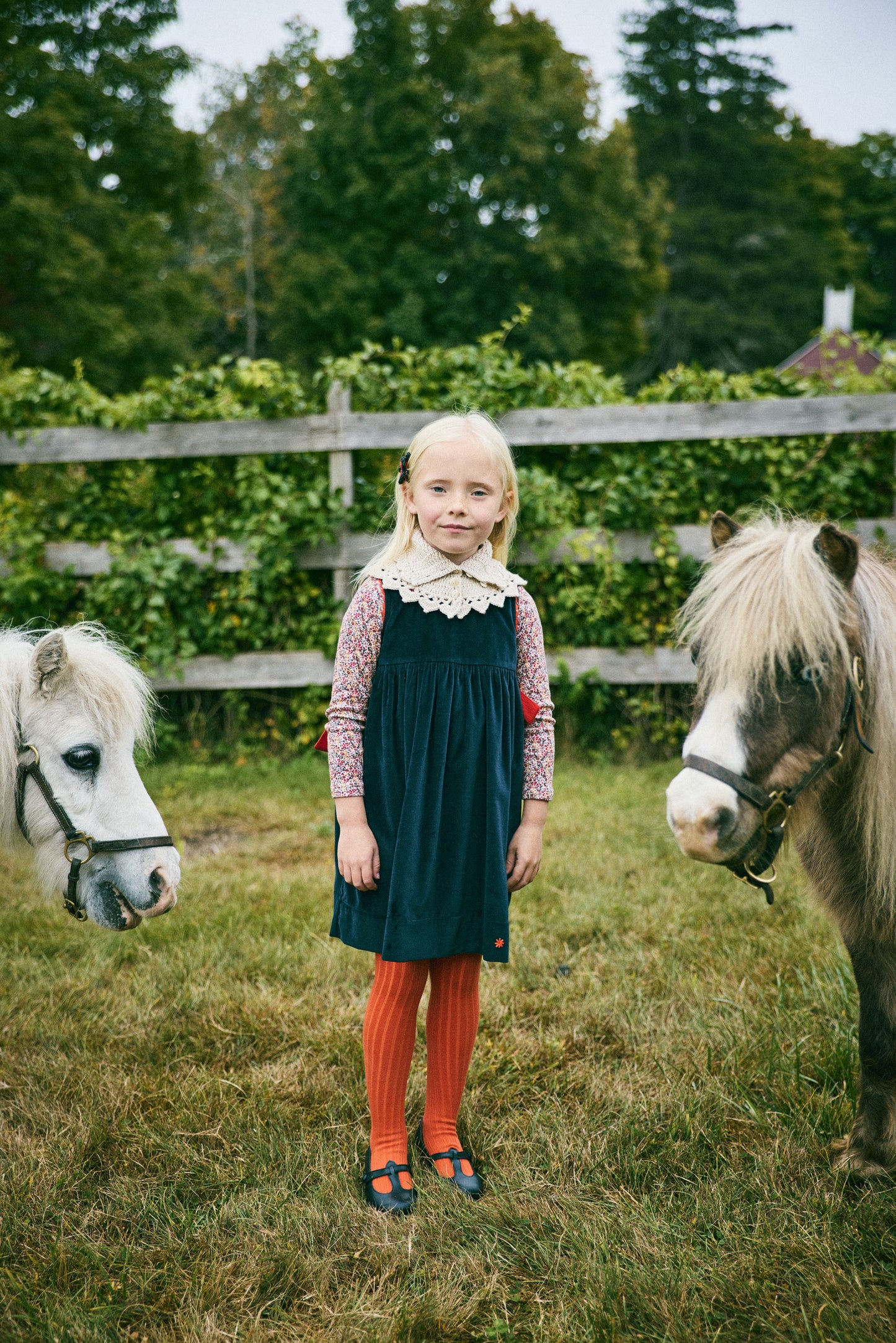 Crochet Button Collar