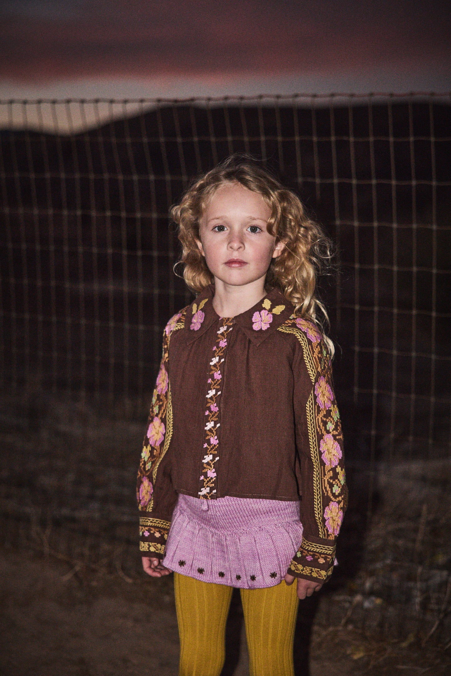 Araminta Embroidered Blouse