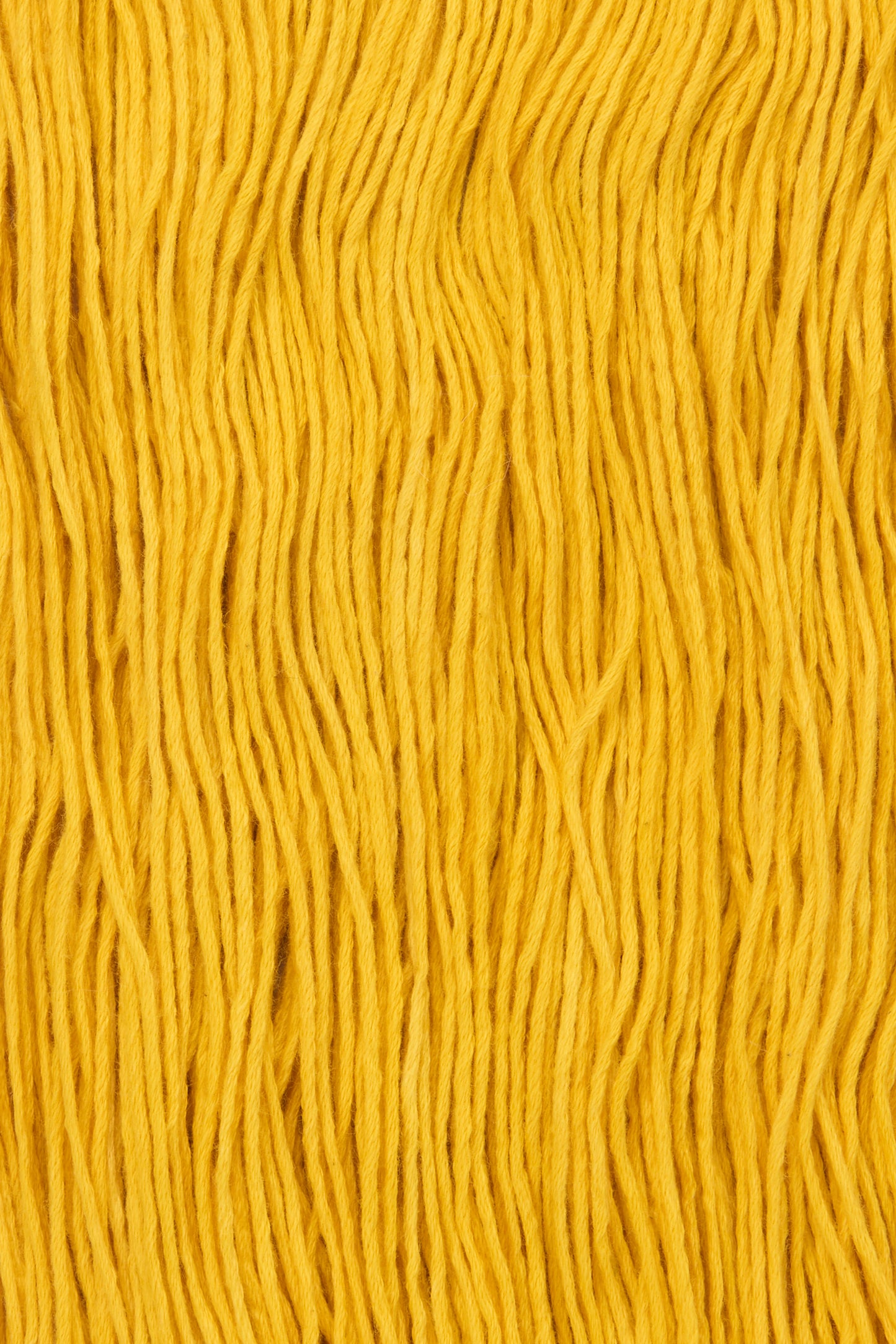 Cotton Yarn Skein