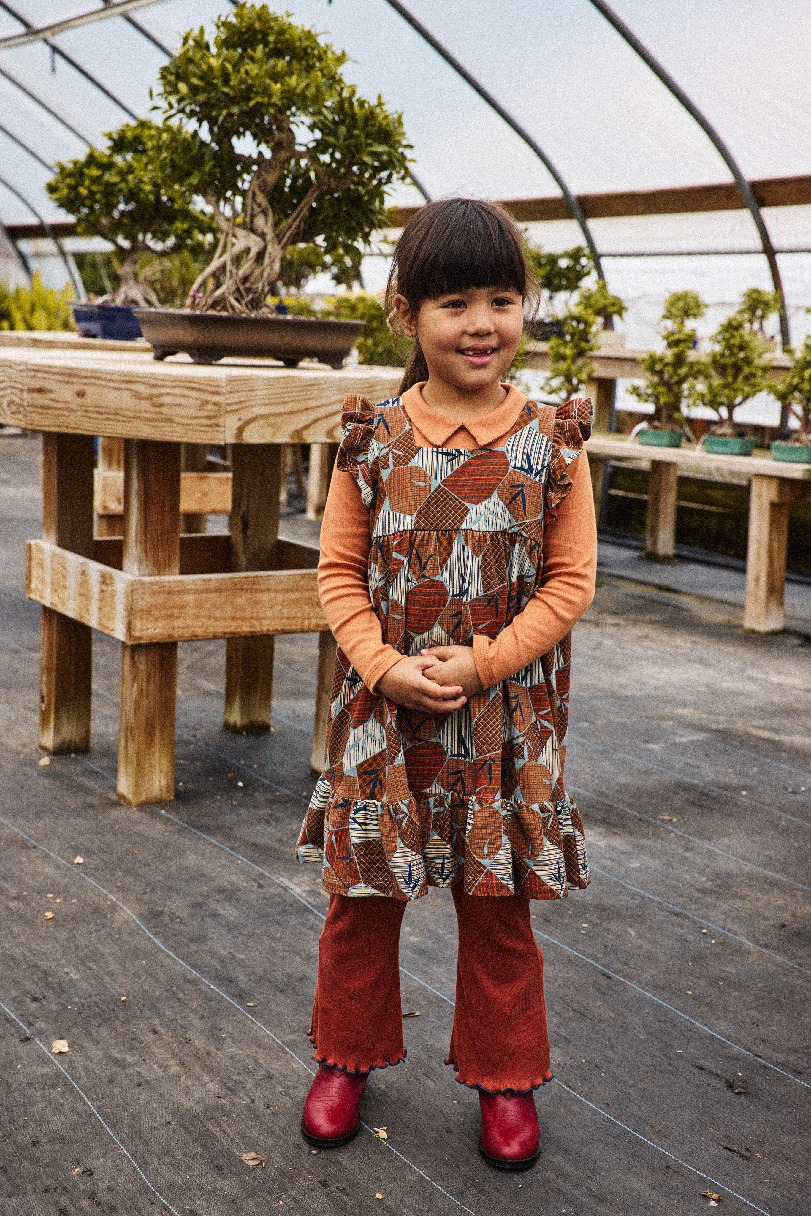Ruffle Sleeve Dress – Misha & Puff