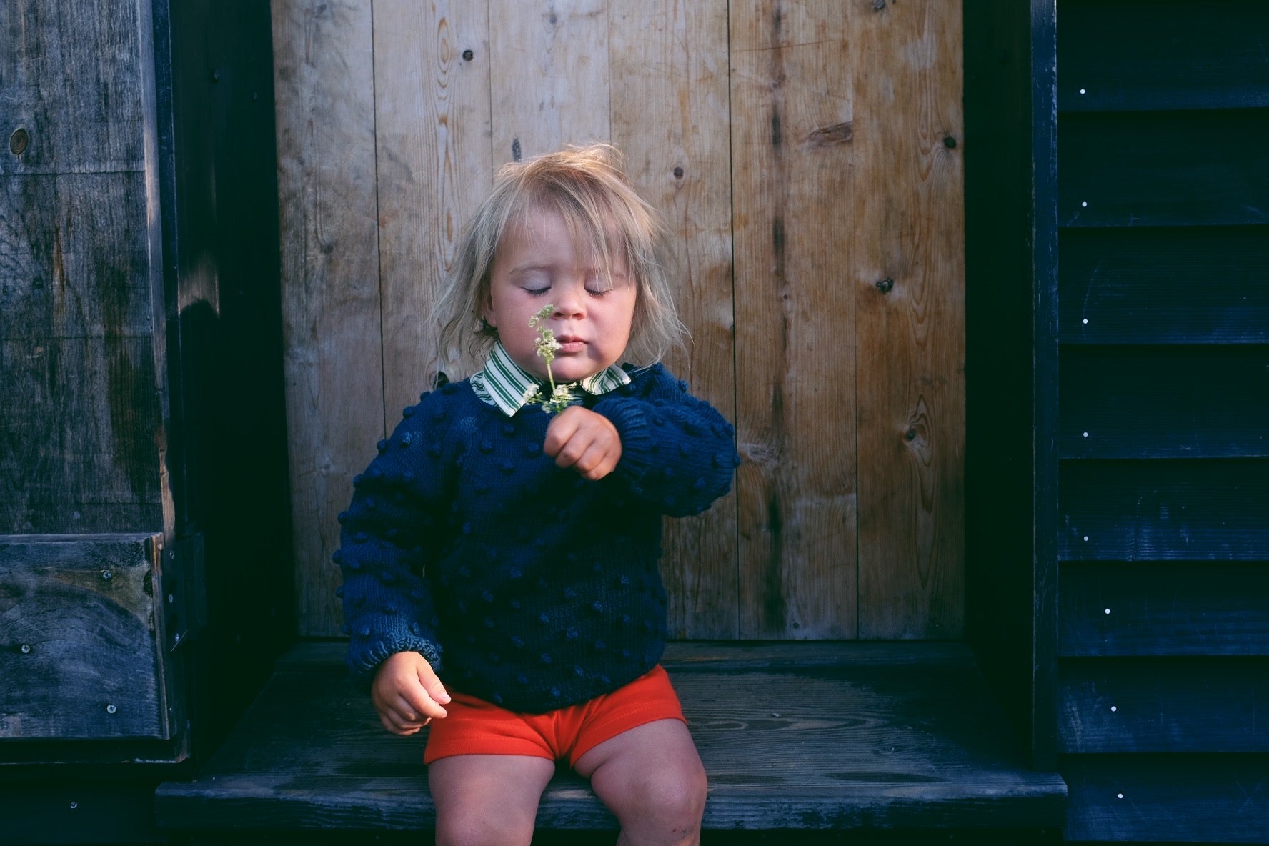 Summer Popcorn Sweater - Misha & Puff